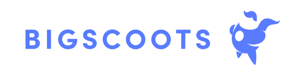 Big scouts logo